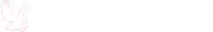 Admin